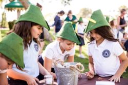 robin hood event
